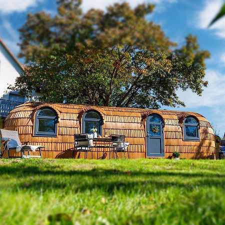 Auszeitgarten - Urlaub Im Tinyhaus Im Herzen Von Oberschwaben Aulendorf Eksteriør bilde